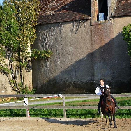 Chateau Des Noces Bazoges-en-Pareds Экстерьер фото