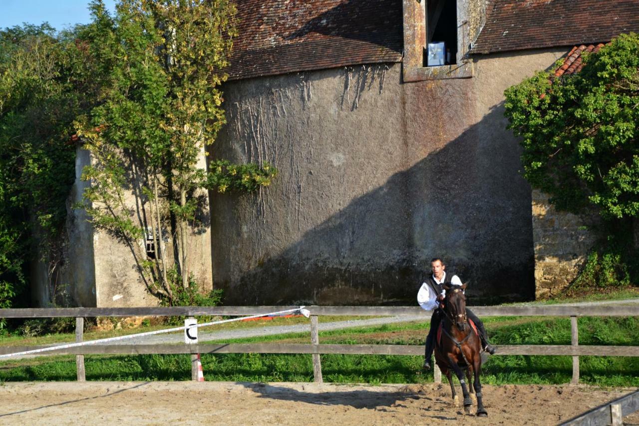 Chateau Des Noces Bazoges-en-Pareds Экстерьер фото